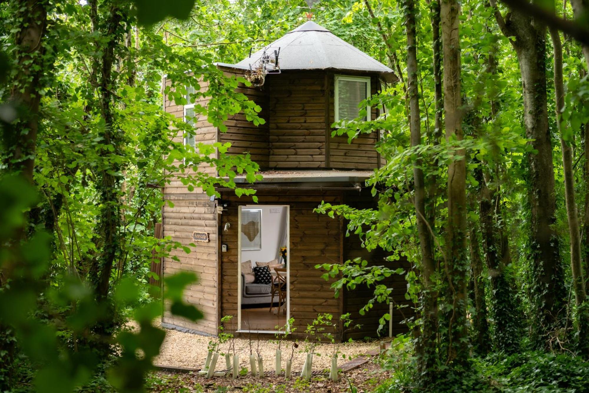 Honeycombe - Treehouse In The Heart Of Dorset Villa Blandford Forum Exterior photo